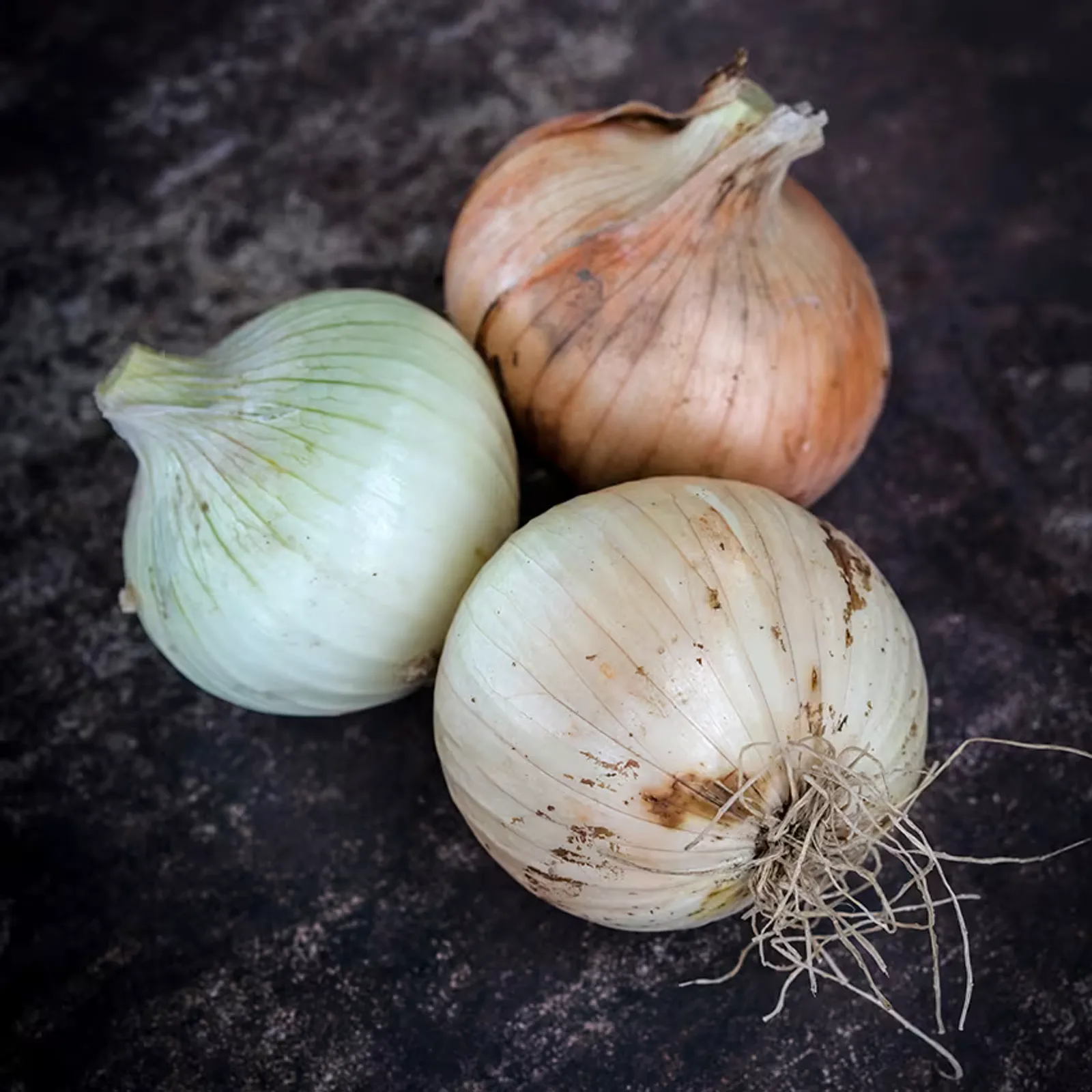 Texas Early Grano Onions