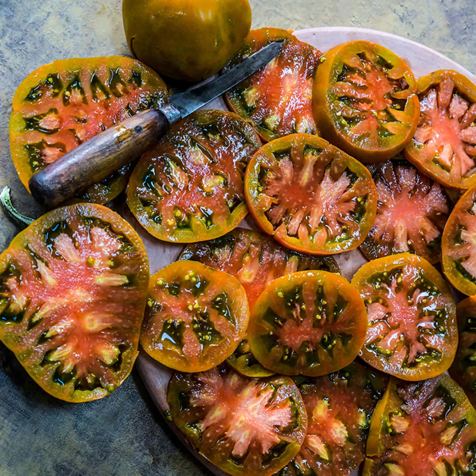 Thorburn's Terra-Cotta Tomatoes