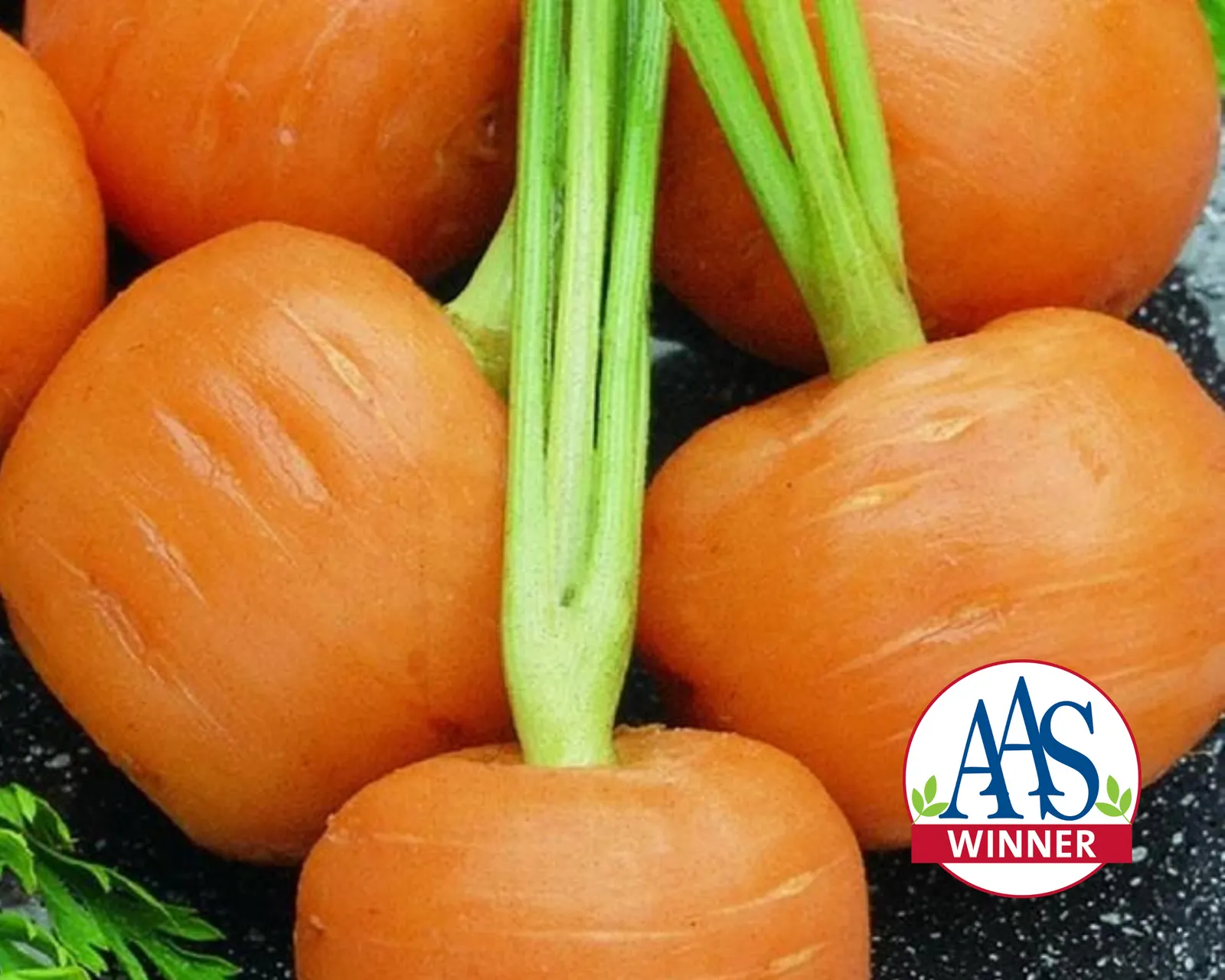 Thumbelina Carrots