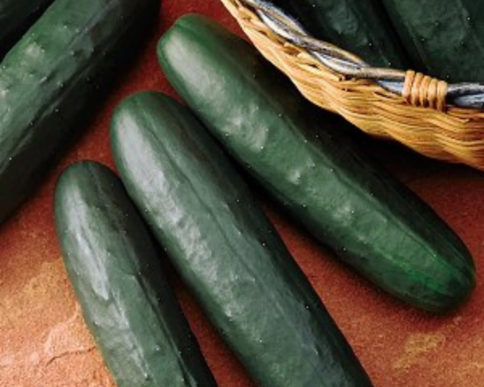 Thunder Cucumbers