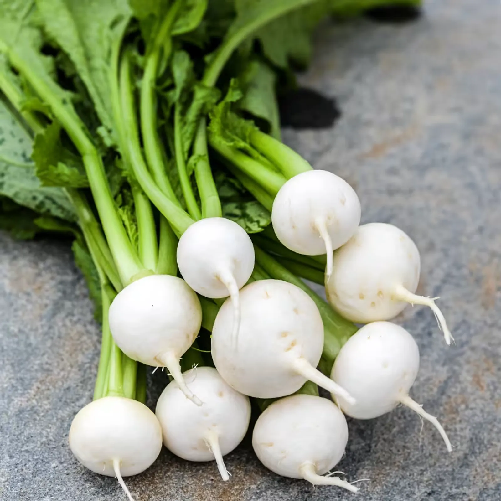 Tokinashi Turnips