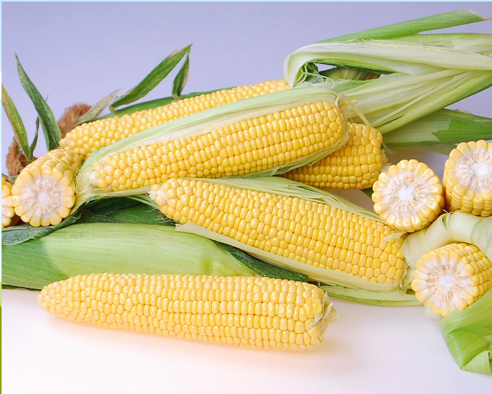 Triple Threat (Yellow Sh2) Corn