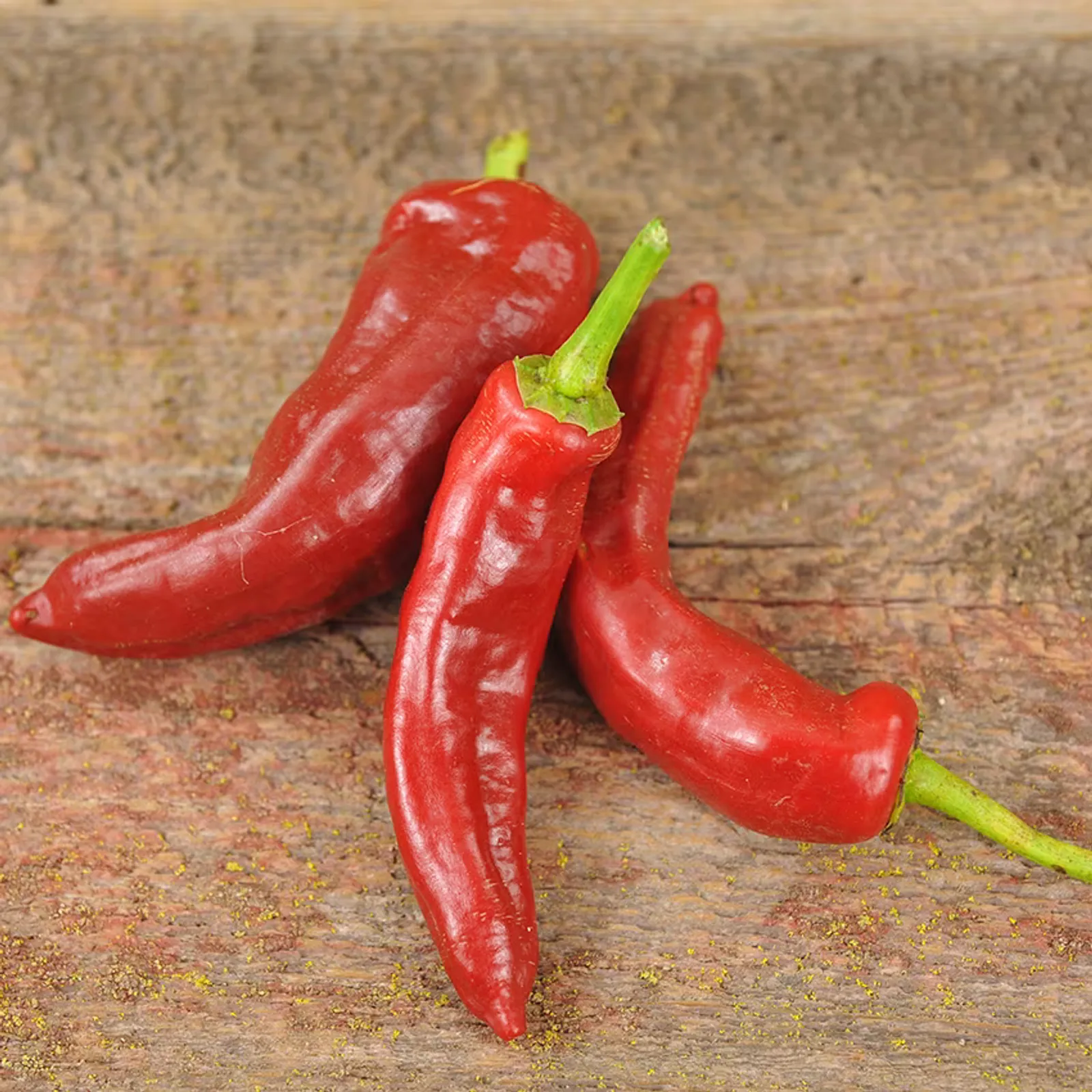 Tunisian Baklouti Peppers