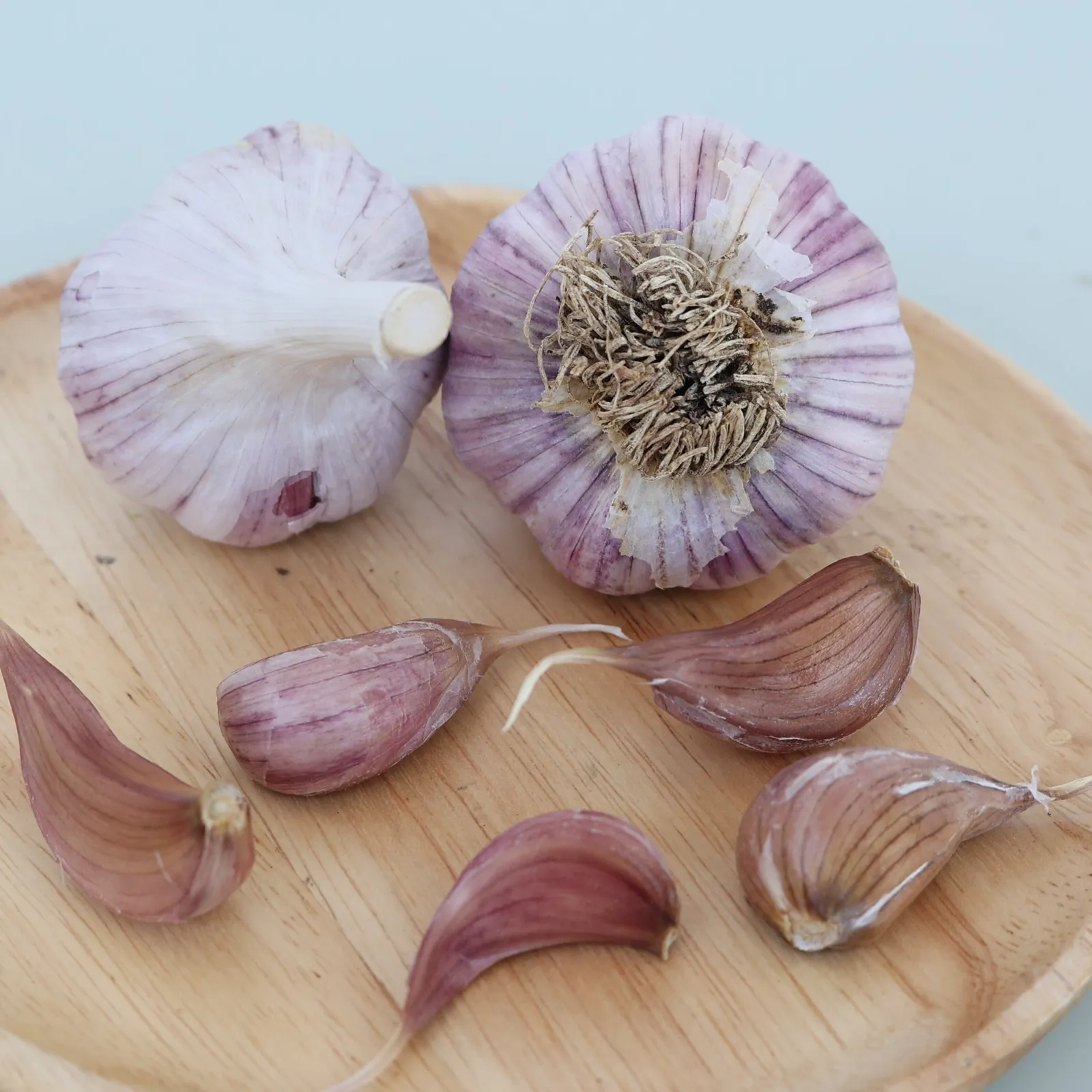 Turkish Red Garlic