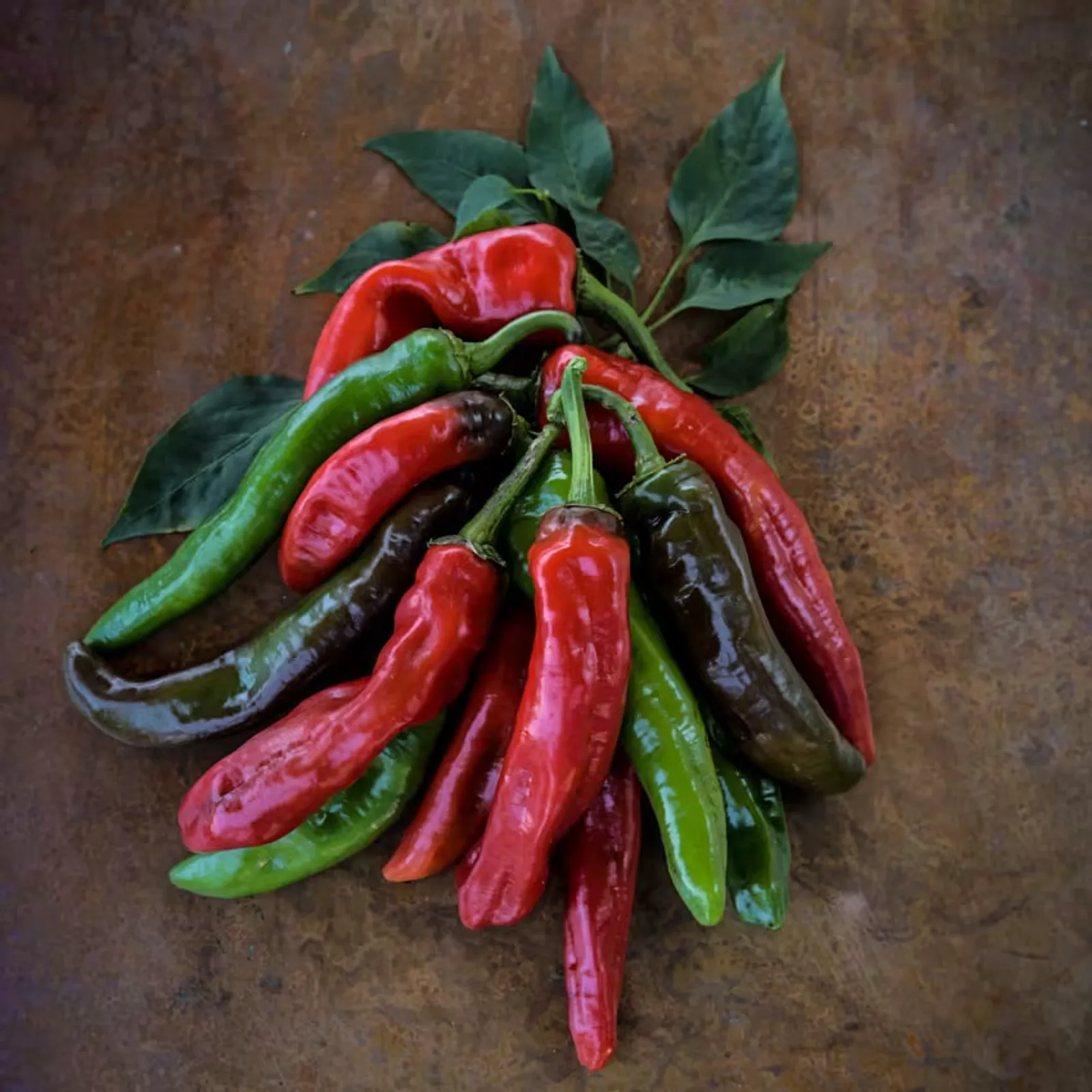 Txorixero Peppers