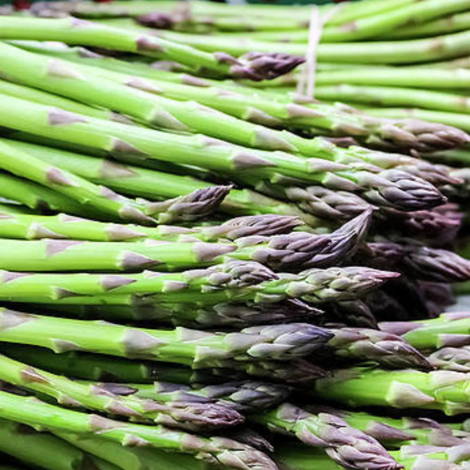 UC-157 Asparagus