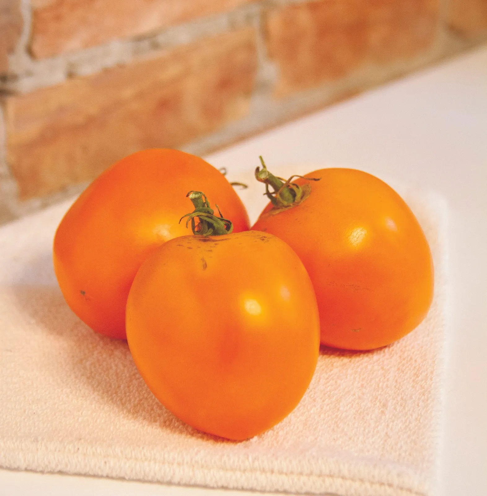 Valencia Tomatoes