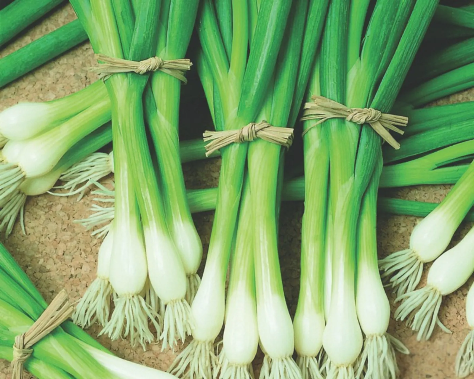Warrior Bunching Onions