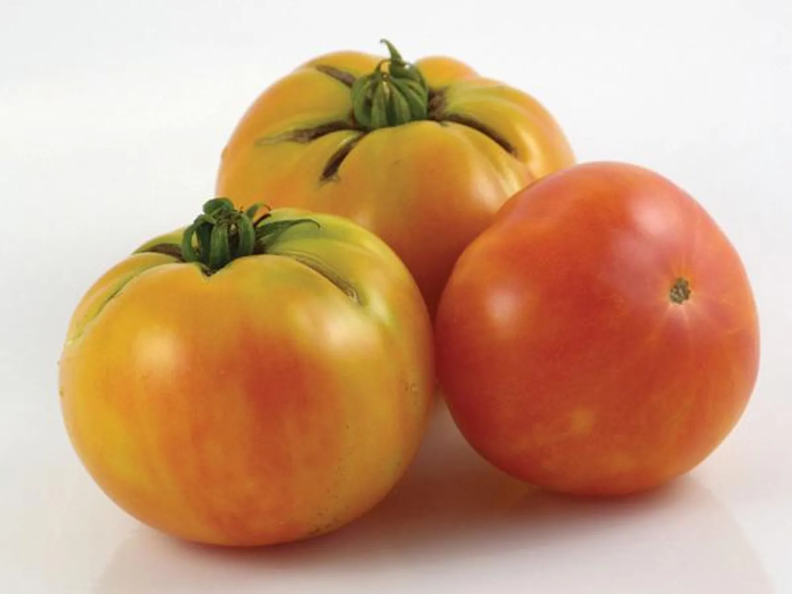 Wherokowhai (Dwarf Bush) Tomatoes