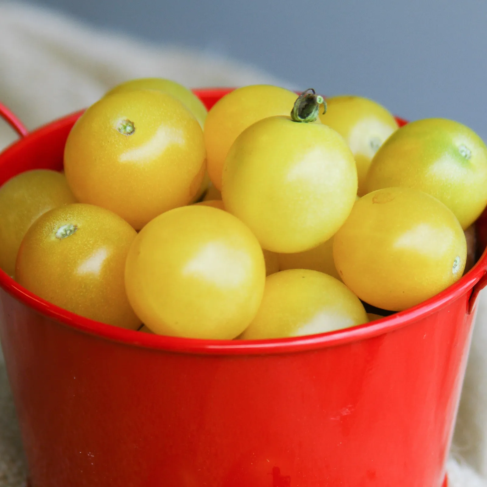 White Cherry Tomatoes