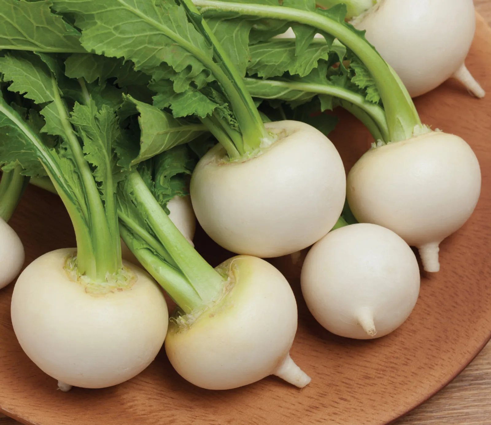 White Egg Turnips