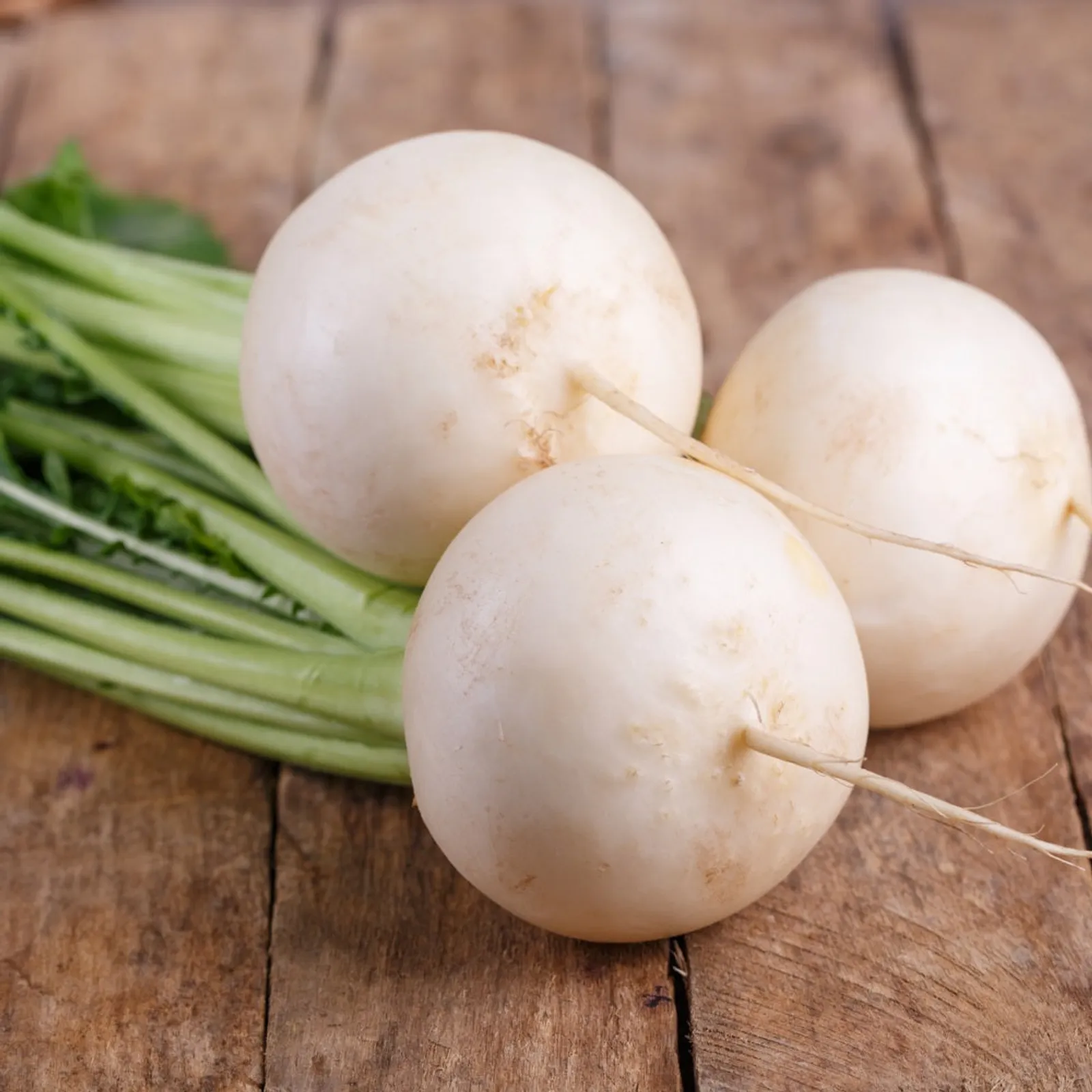 White Lady Turnips