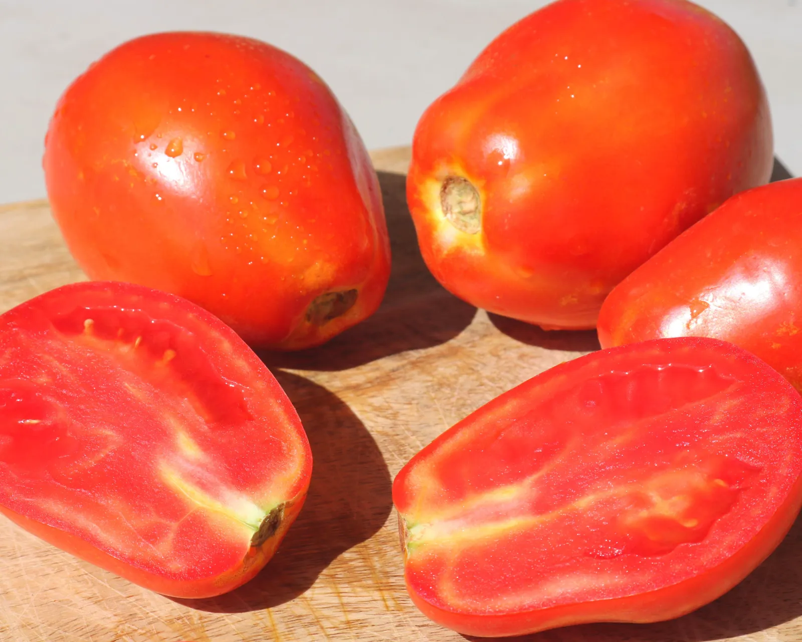 Yaqui Tomatoes