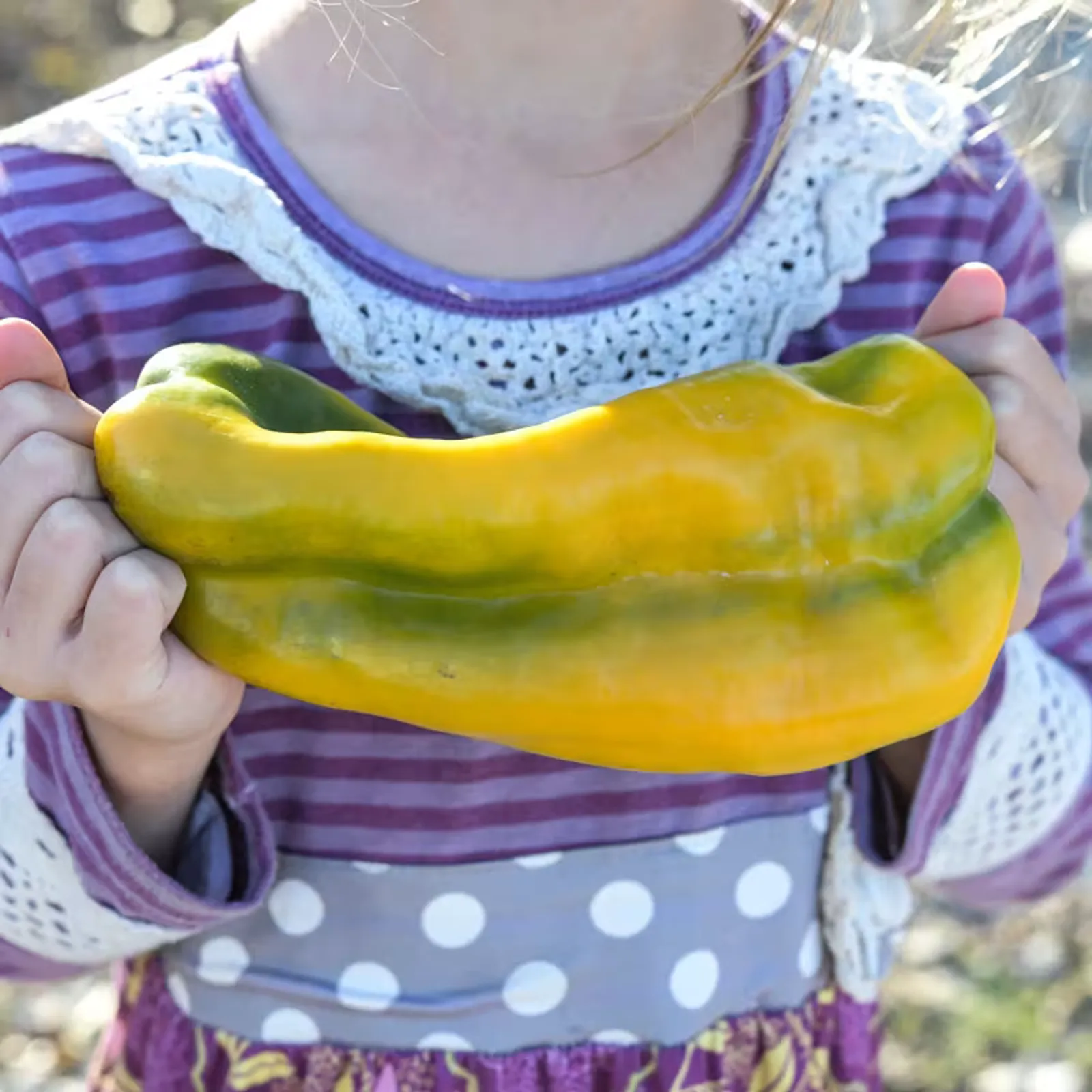 Yellow Monster Peppers