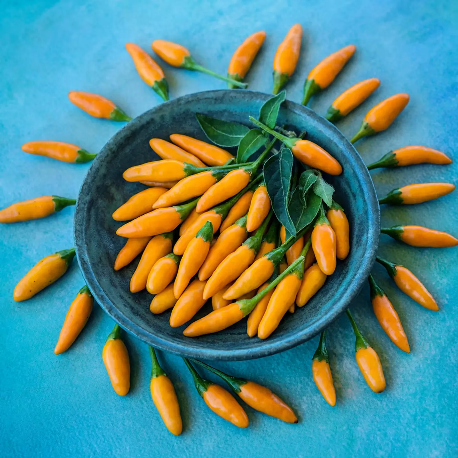Yellow Piquin Peppers