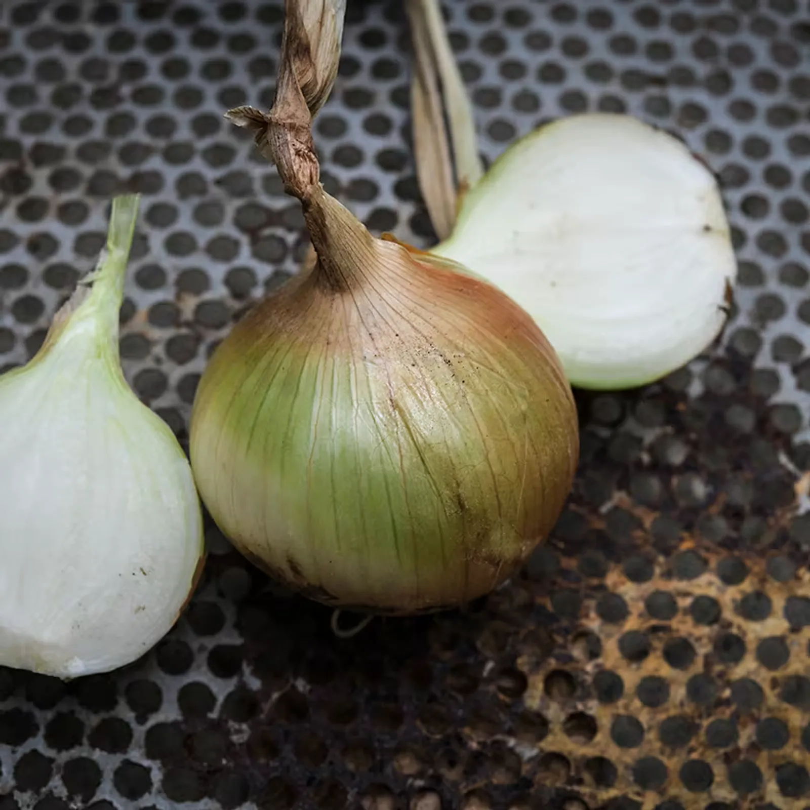 Yellow Sweet Spanish Onions