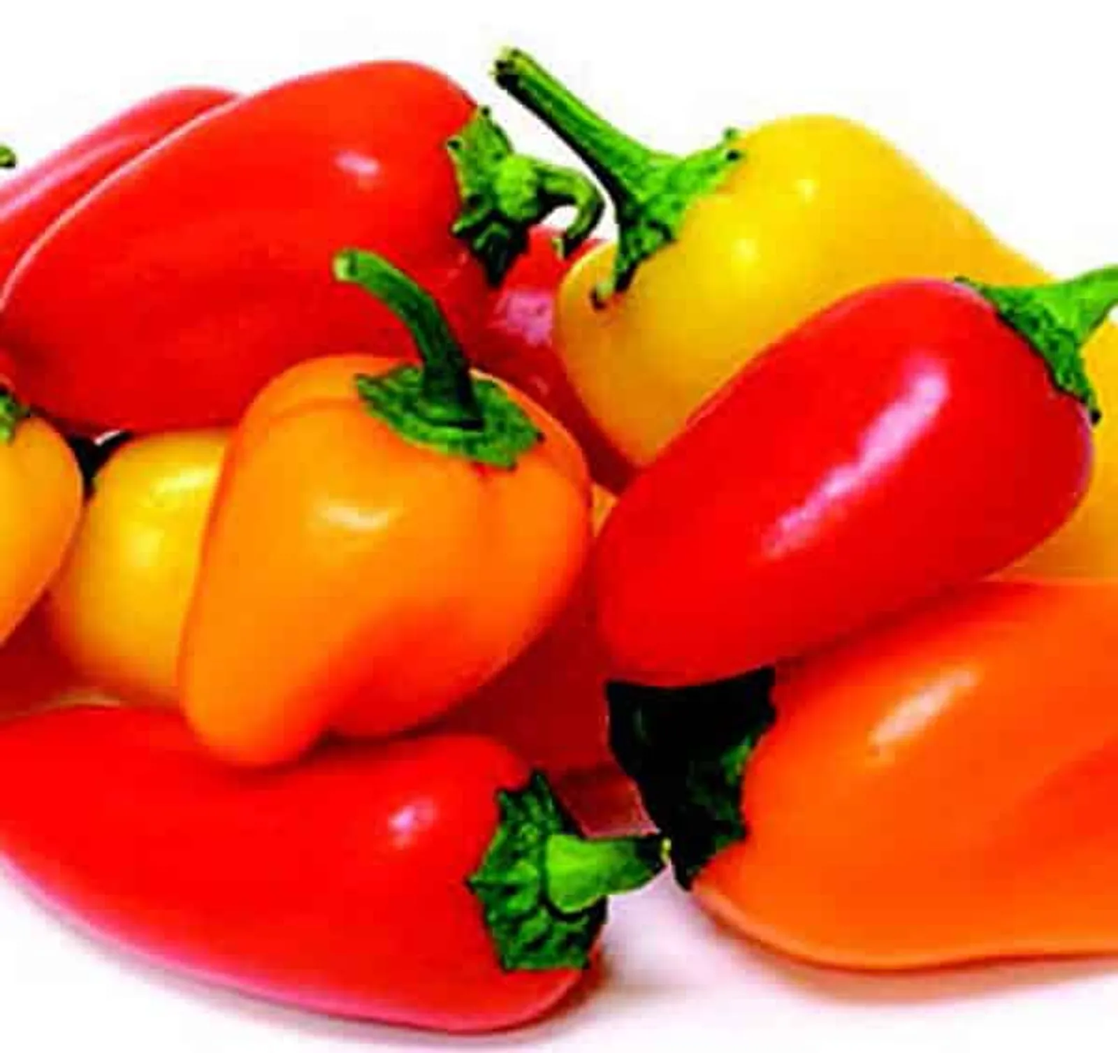 Yum-Yum Hybrid Mix (Treated) Peppers