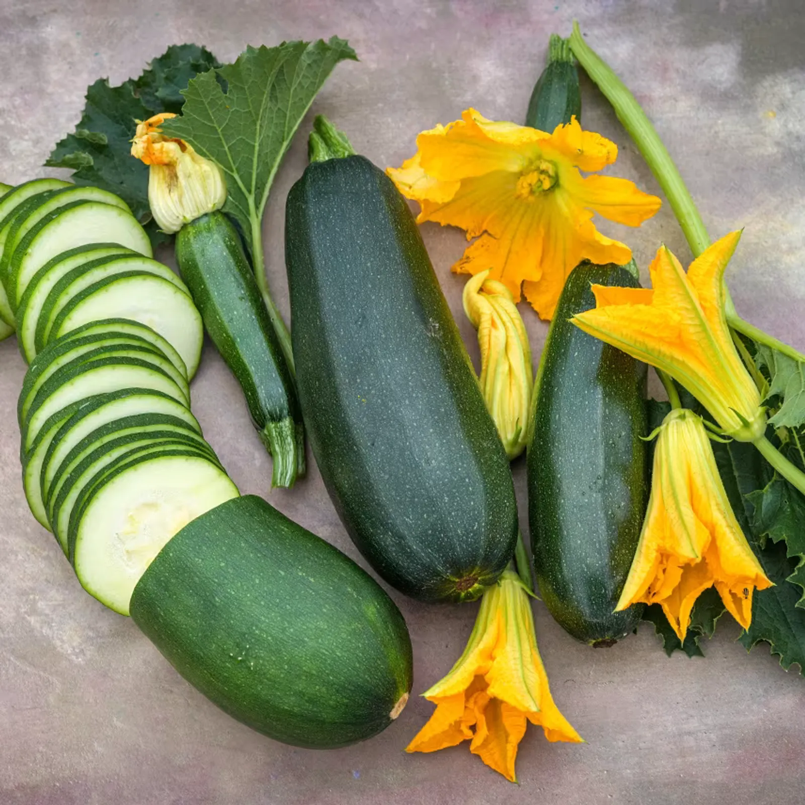 Zucchini Black Beauty Squash