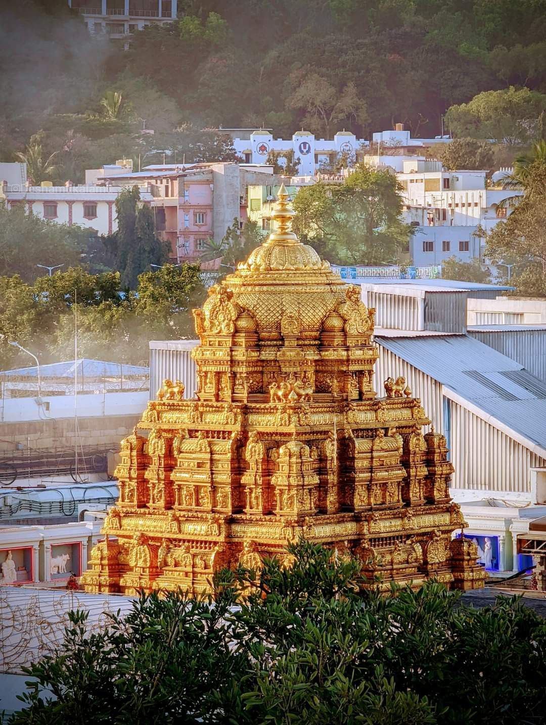 Why Choose Our Vellore to Tirupati Darshan Package?