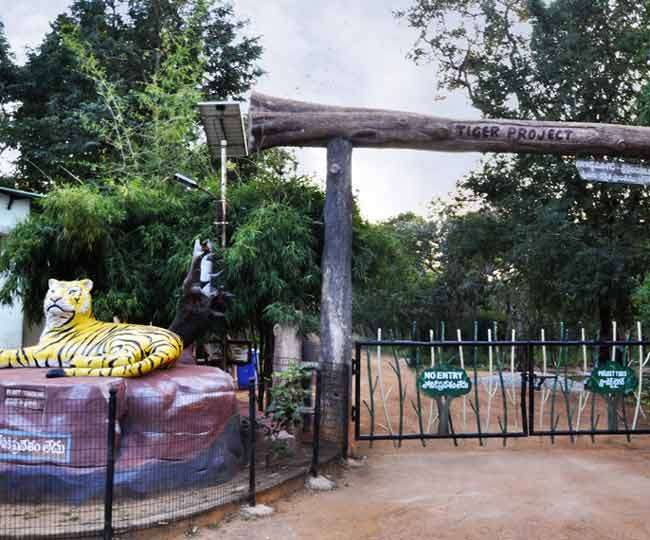 Srisailam Wildlife Sanctuary