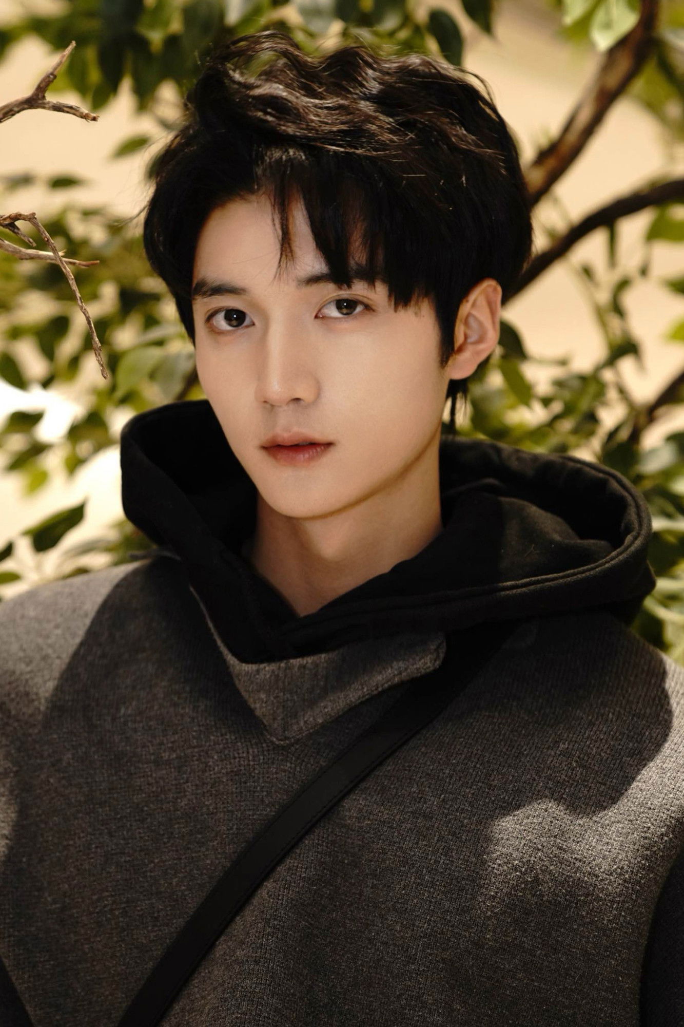 Wang Peiyan