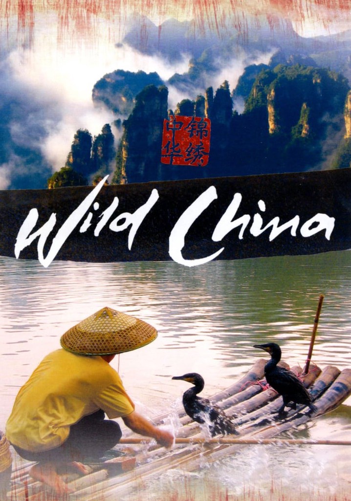 Wild China poster
