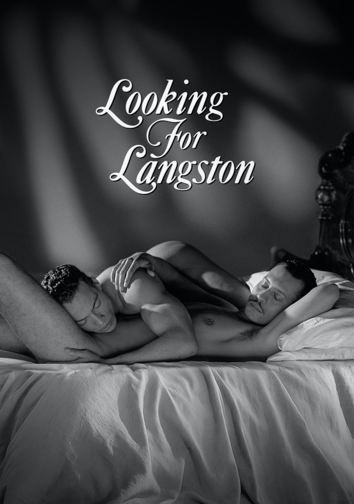 Looking for Langston poster