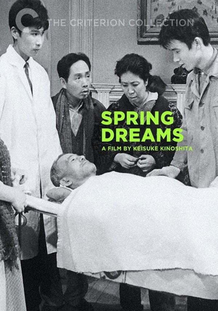 Spring Dreams poster