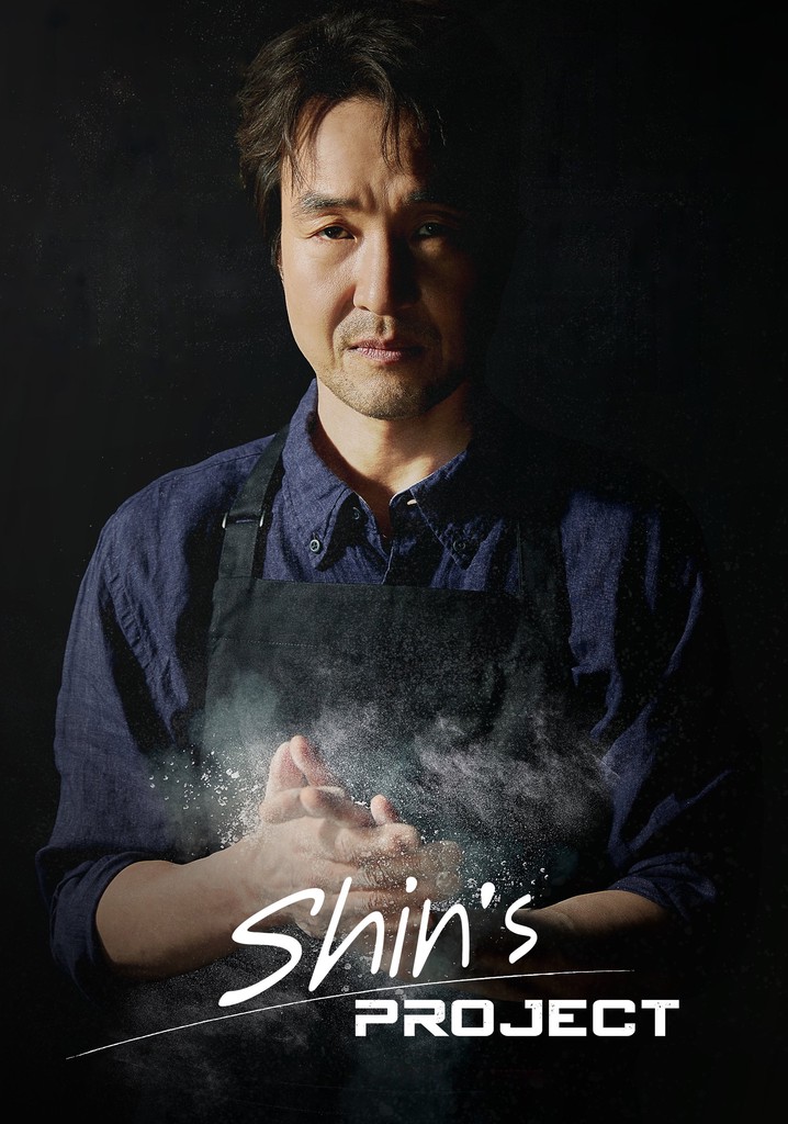 Shin's Project poster