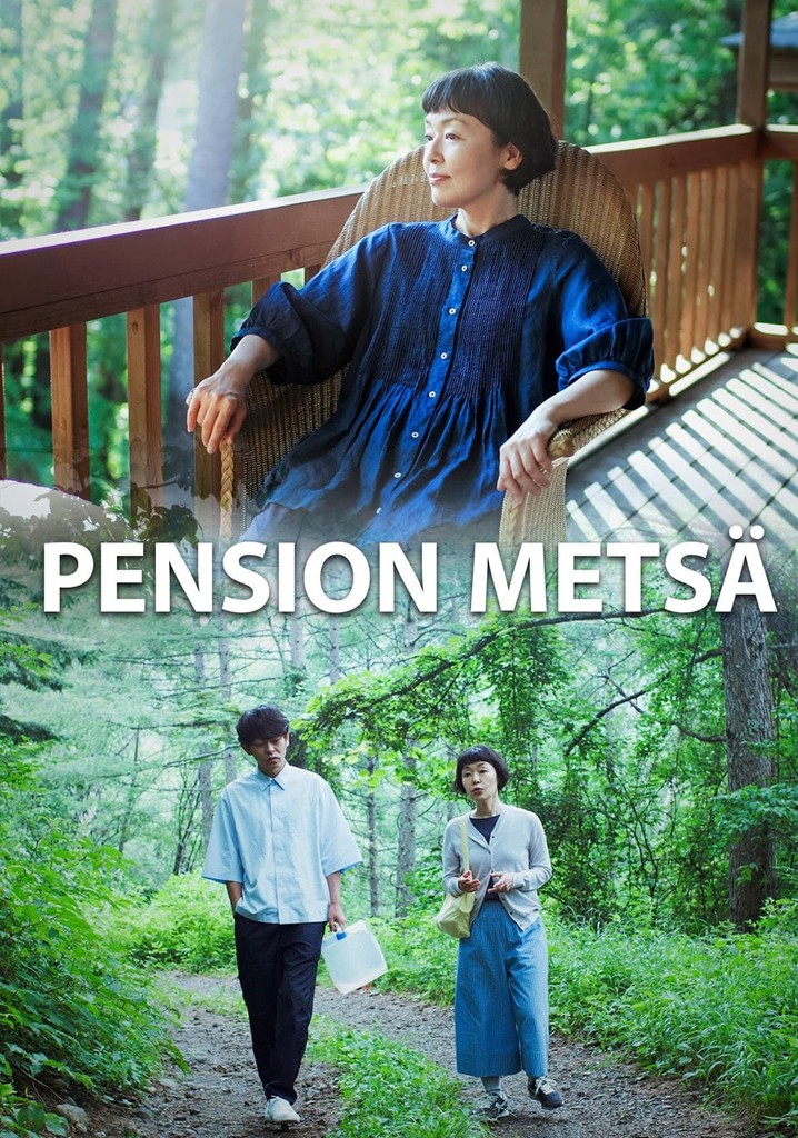 Pension Metsa poster