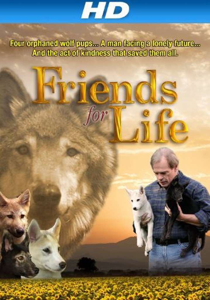 Friends for Life poster