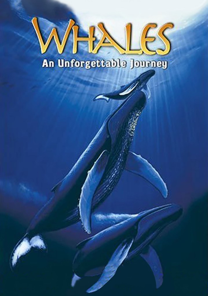 Whales: An Unforgettable Journey poster