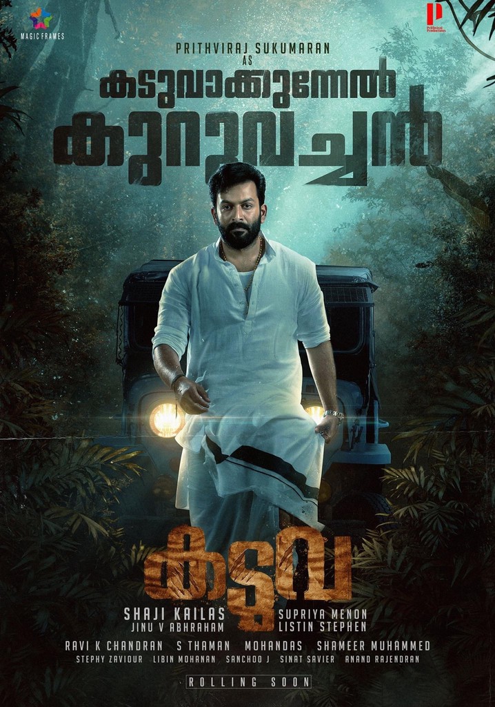 Kaduva poster