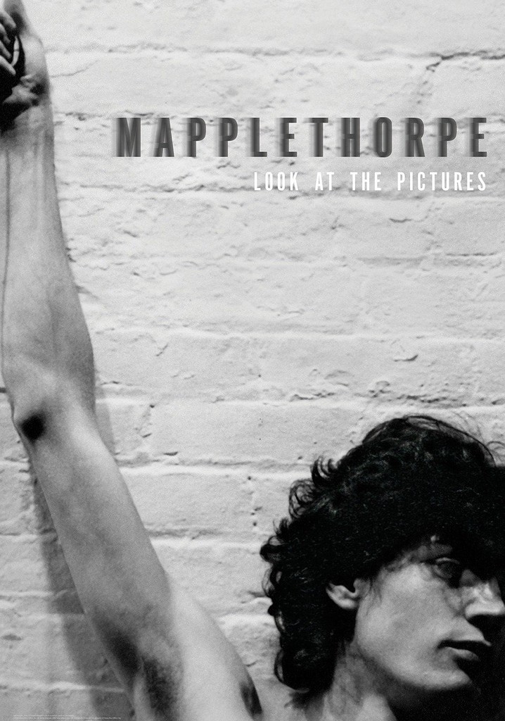 Mapplethorpe: Look at the Pictures poster