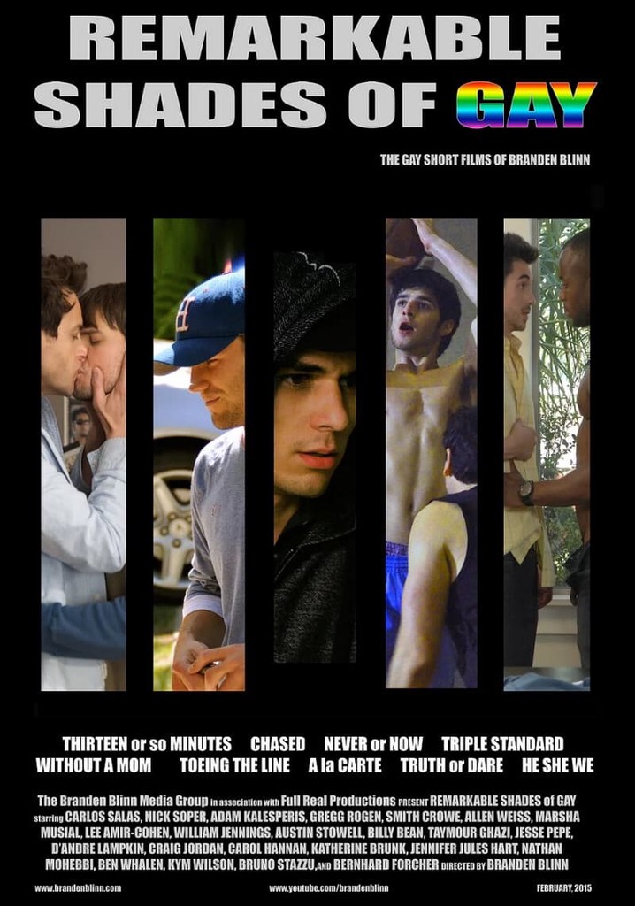 Remarkable Shades of Gay poster
