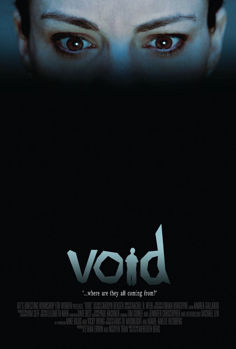 Void poster