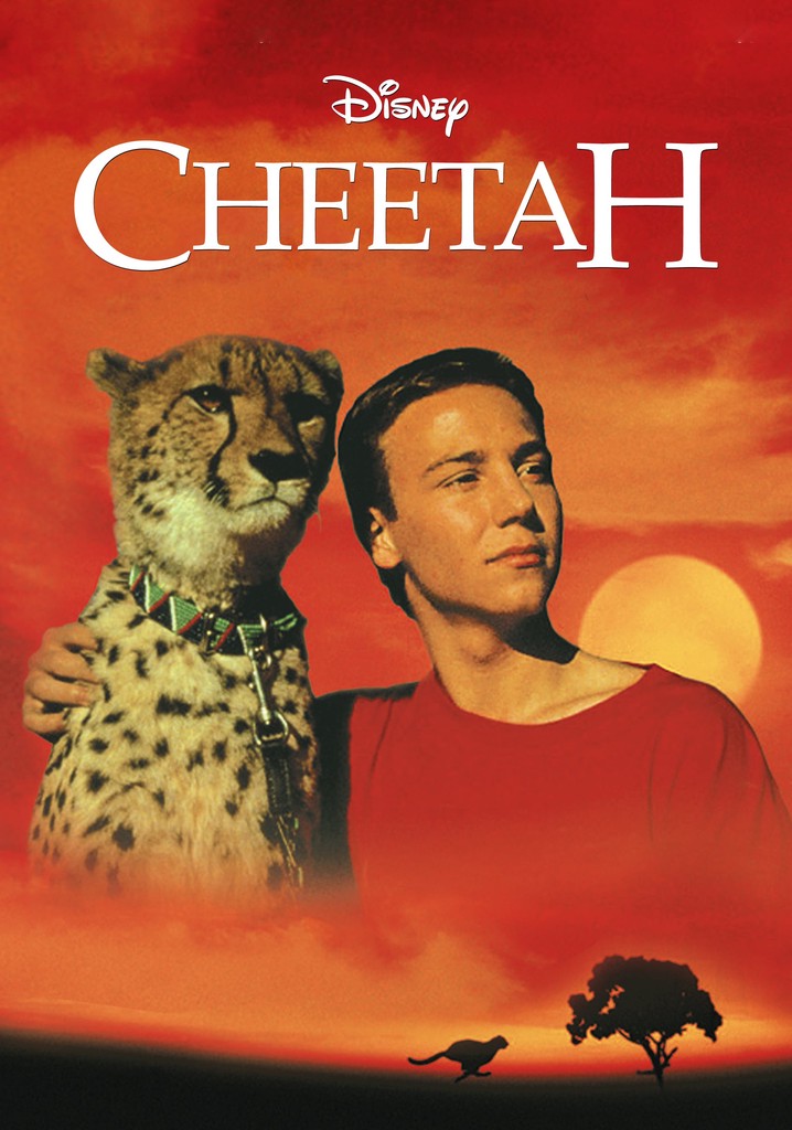 Cheetah poster