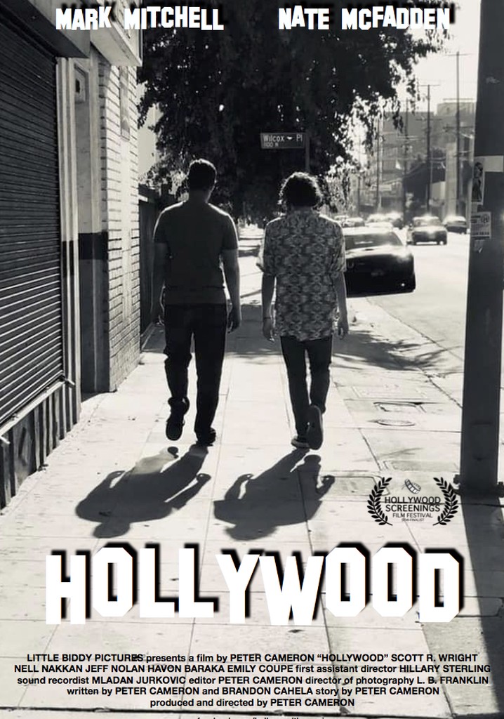 Hollywood poster