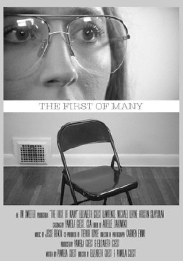 The First of Many poster