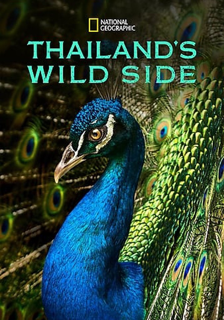 Thailand's Wild Side poster