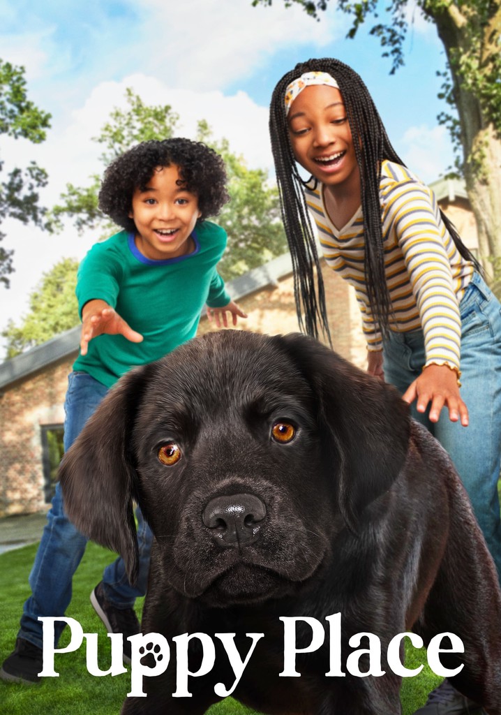 Puppy Place poster