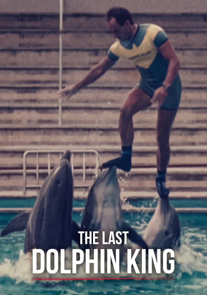 The Last Dolphin King poster