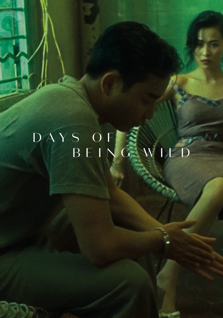 Days of Being Wild poster