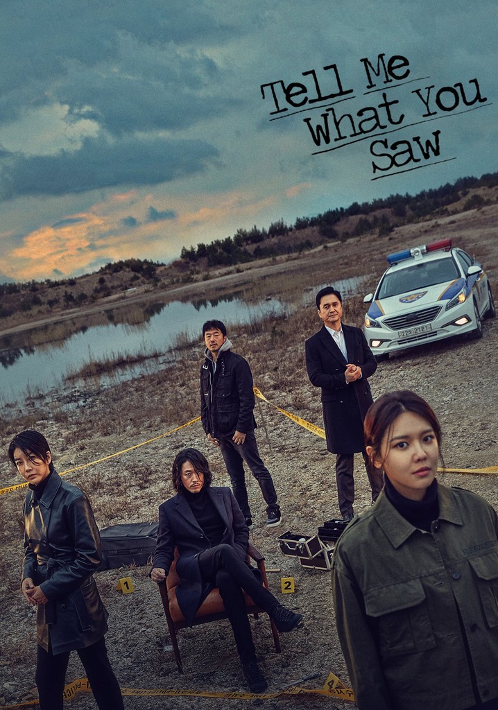 Tell Me What You Saw poster