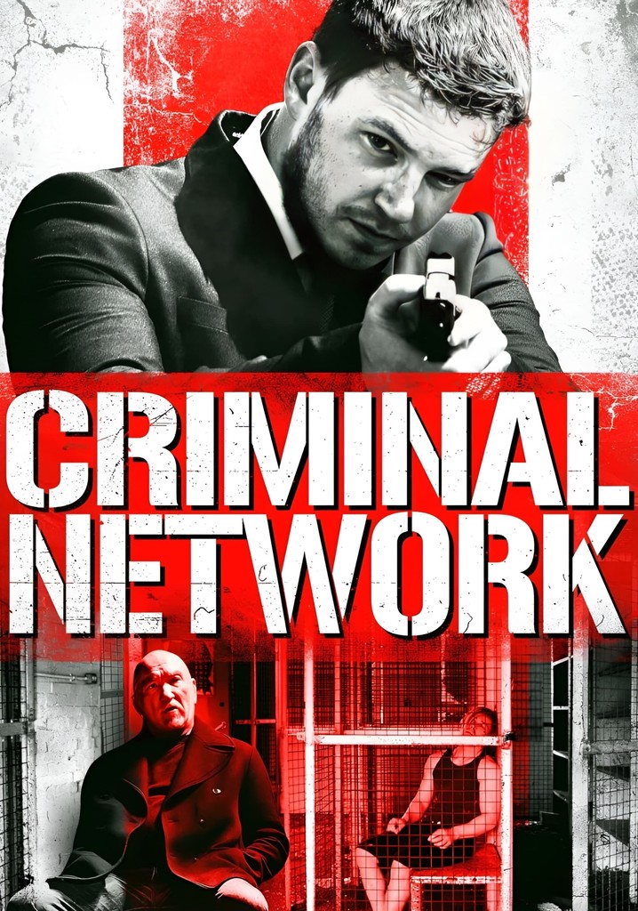 Criminal Network poster