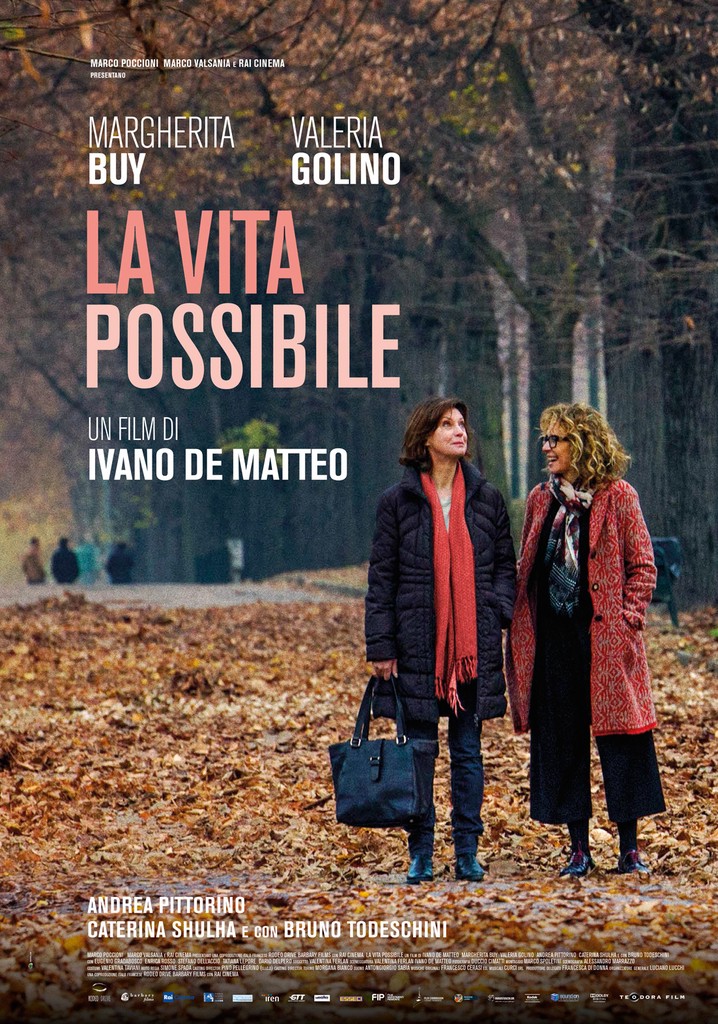 La vita possibile poster