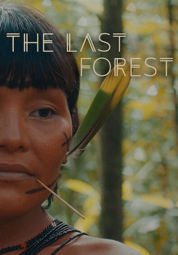 The Last Forest poster