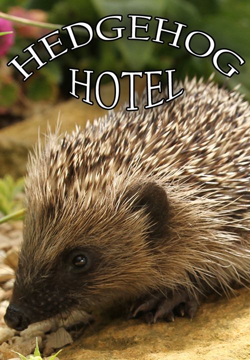 The Hedgehog Hotel poster