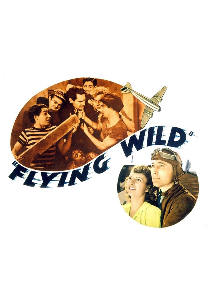 Flying Wild poster