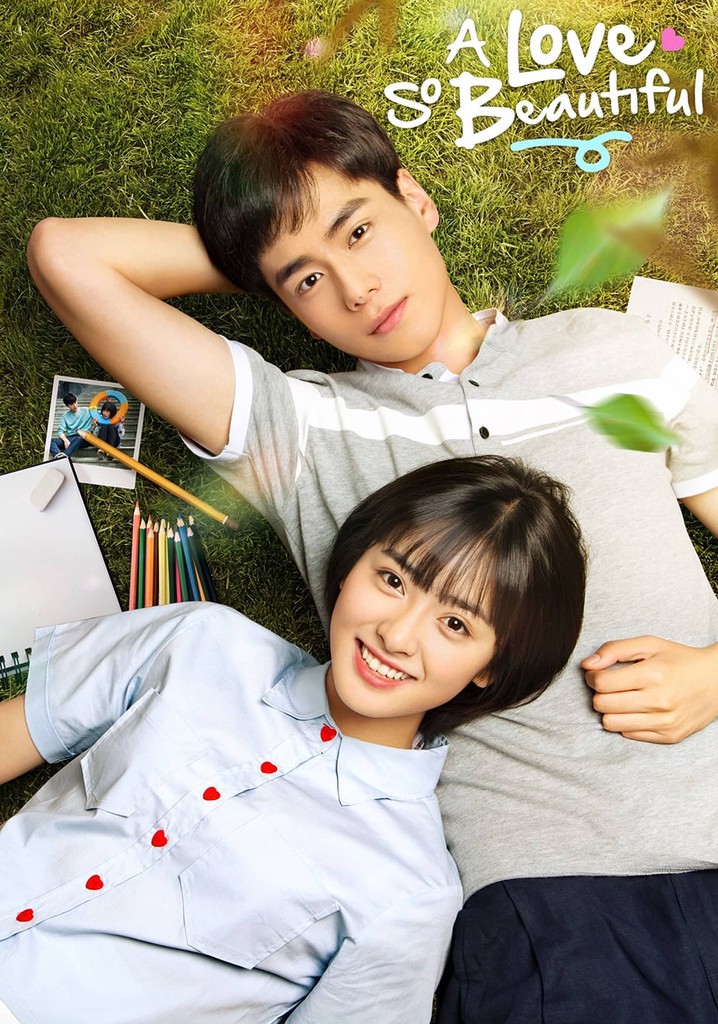 A Love So Beautiful poster